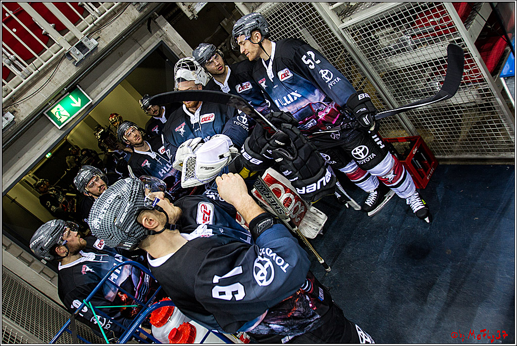 DEL, Koelner Haie - Duesseldorfer EGY, 22.01.2017